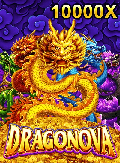 ioya9 ioya9